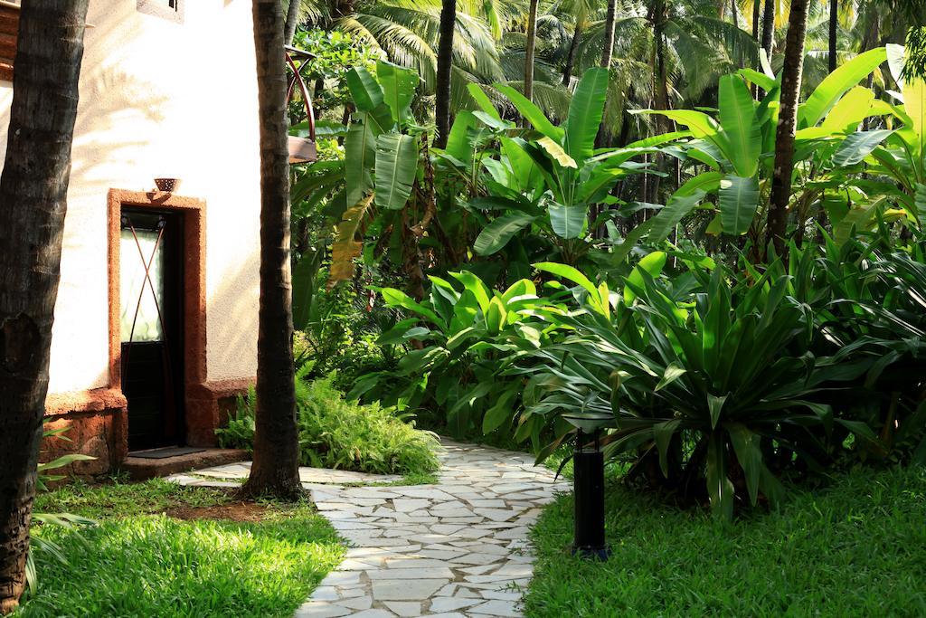 Coconut Creek Resort - Dabolim Airport Mormugao Luaran gambar